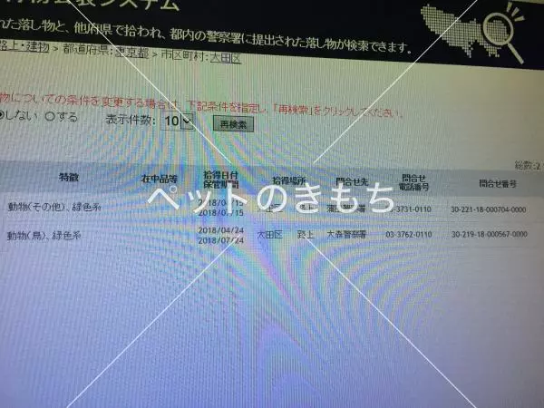 コメント投稿の画像