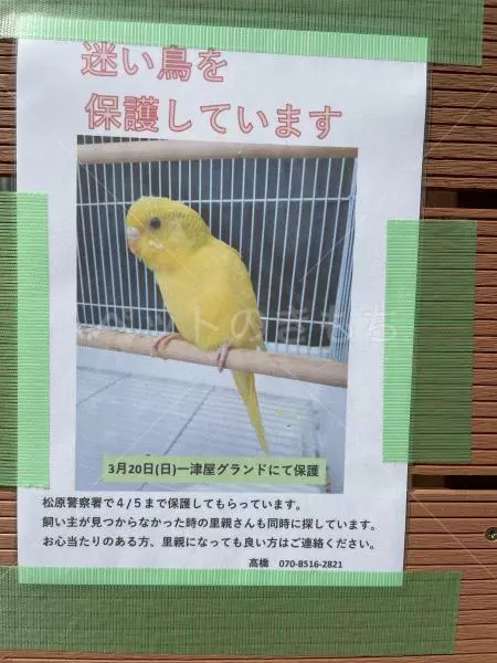 コメントの画像