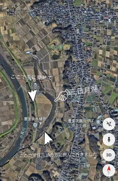 コメントの画像