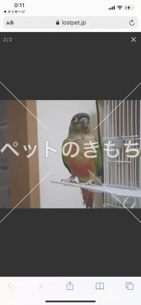 コメント投稿の画像