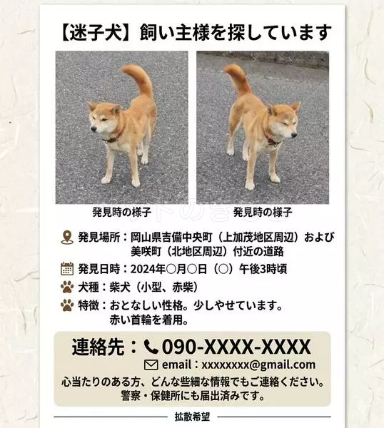 コメントの画像