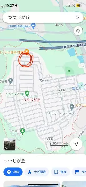 コメントの画像