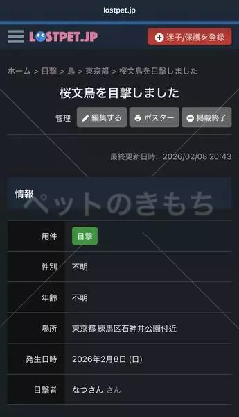 コメントの画像