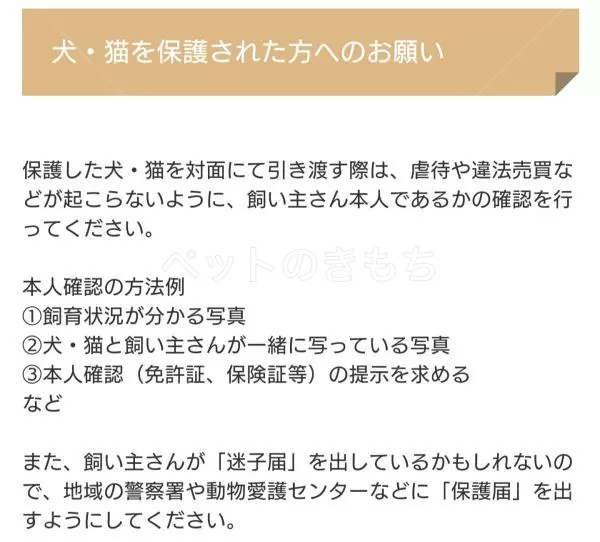 コメントの画像