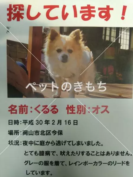 コメント投稿の画像