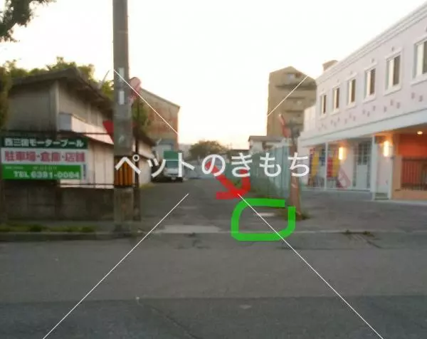 コメント投稿の画像