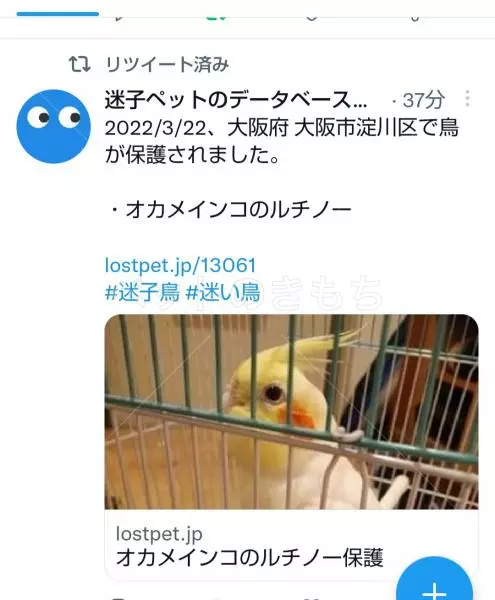 コメントの画像