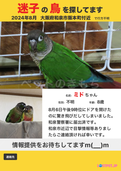 迷子鳥の画像