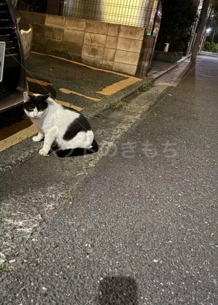 コメントの画像