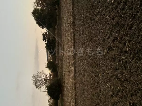 コメントの画像