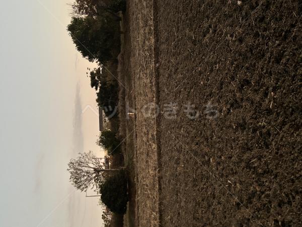 コメントの画像