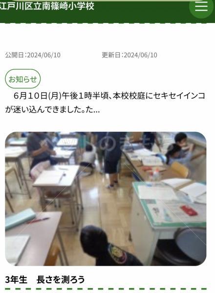 コメントの画像