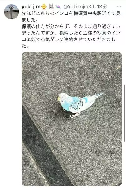 コメントの画像