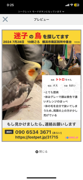 迷子鳥の画像