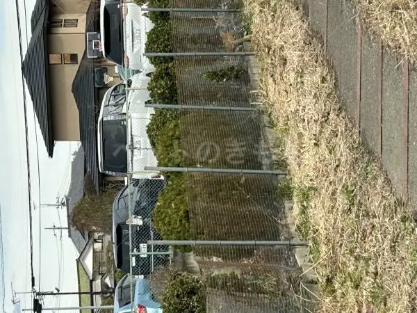 コメントの画像