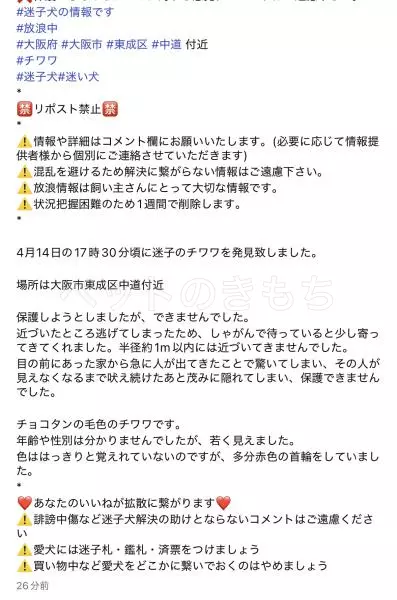 コメントの画像