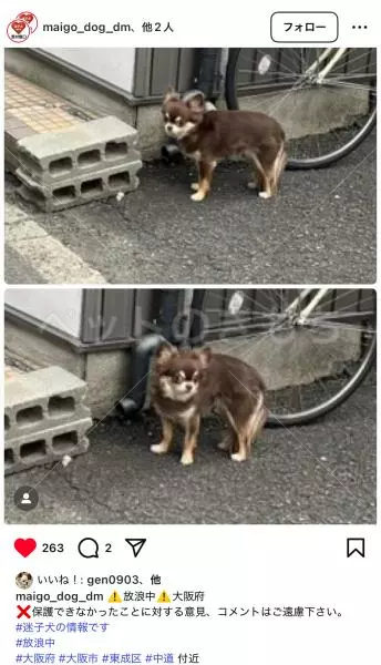 コメントの画像