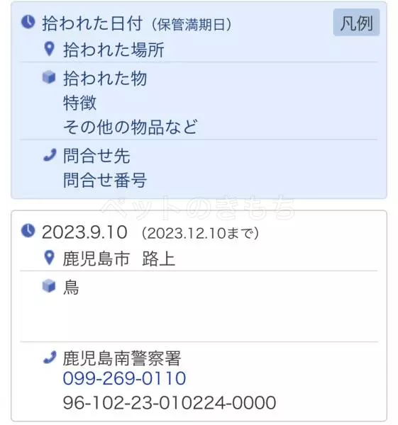 コメントの画像