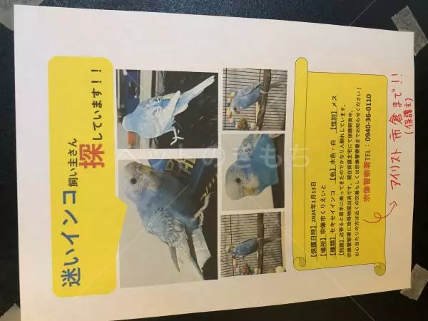 コメントの画像