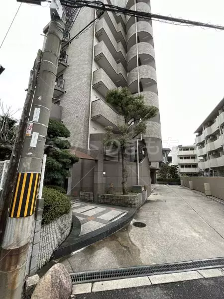 コメントの画像