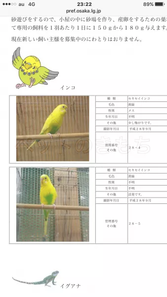 コメント投稿の画像