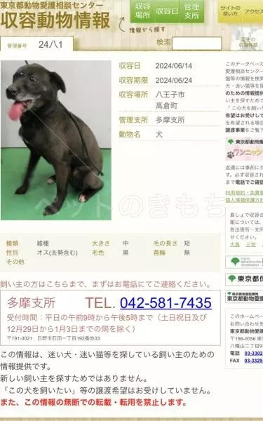 コメントの画像