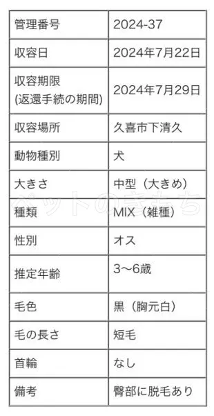 コメントの画像