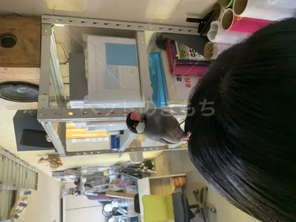 コメントの画像