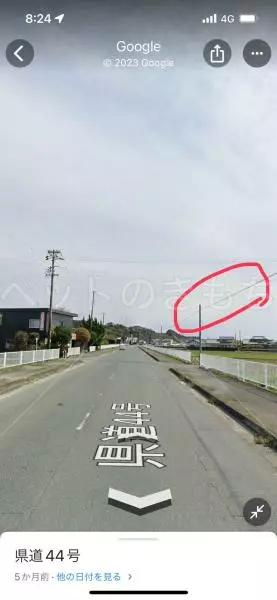 コメントの画像