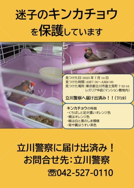 保護鳥の画像
