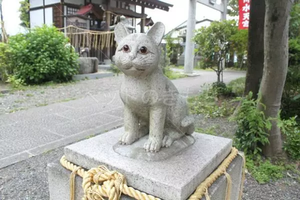 コメントの画像