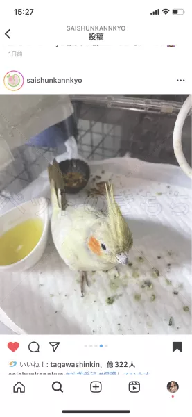 コメントの画像