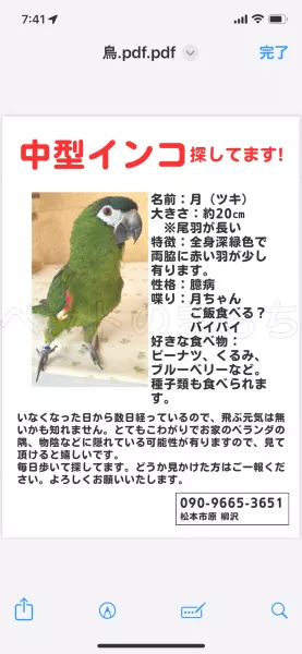 迷子鳥の画像