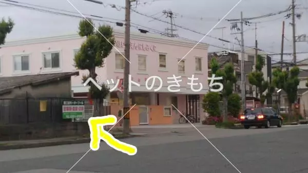 コメント投稿の画像