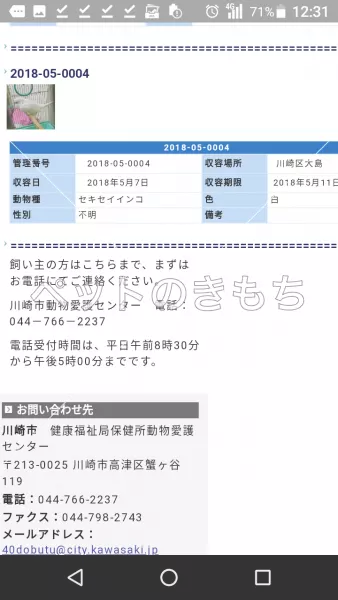 コメント投稿の画像