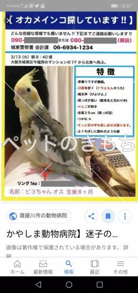 コメント投稿の画像