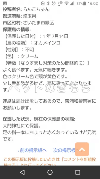 コメント投稿の画像