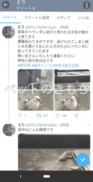 コメント投稿の画像