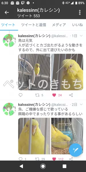 コメント投稿の画像