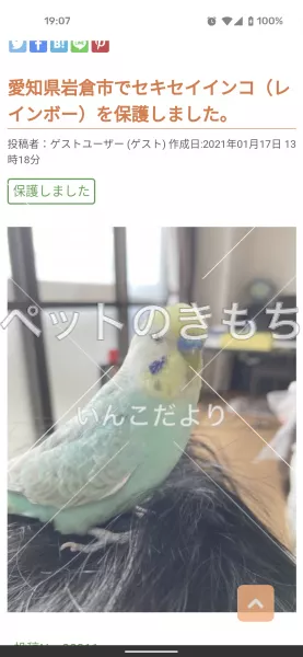 コメント投稿の画像