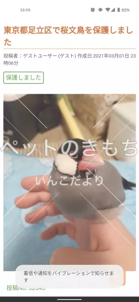 コメント投稿の画像