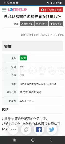 コメントの画像