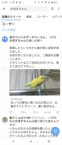 コメントの画像