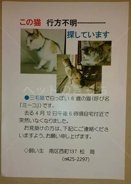 コメント投稿の画像