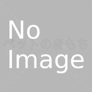 保護動物の写真