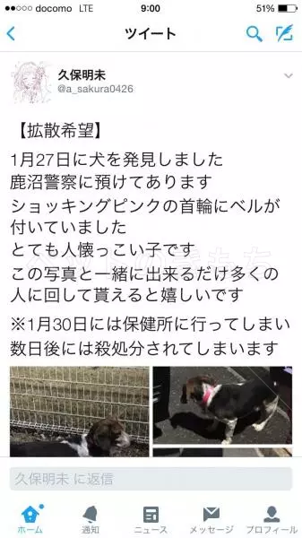 コメント投稿の画像