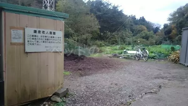 コメント投稿の画像