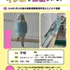 保護鳥の画像
