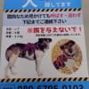 迷子犬の画像
