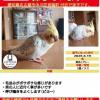 迷子鳥の画像